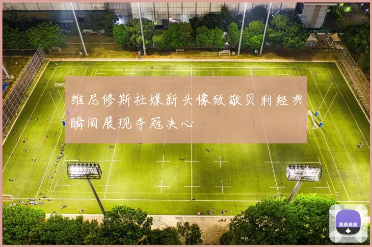 维尼修斯社媒新头像致敬贝利经典瞬间展现夺冠决心