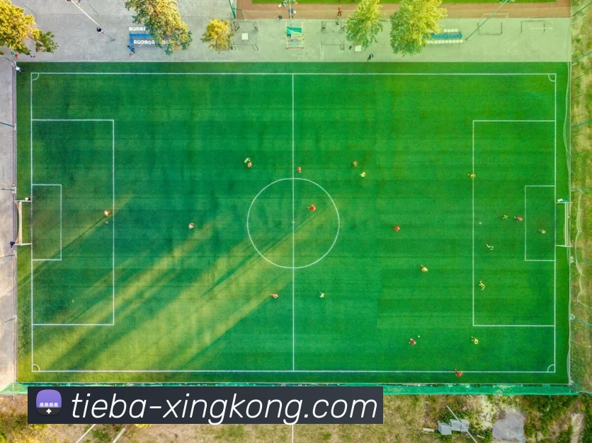 奖项图3